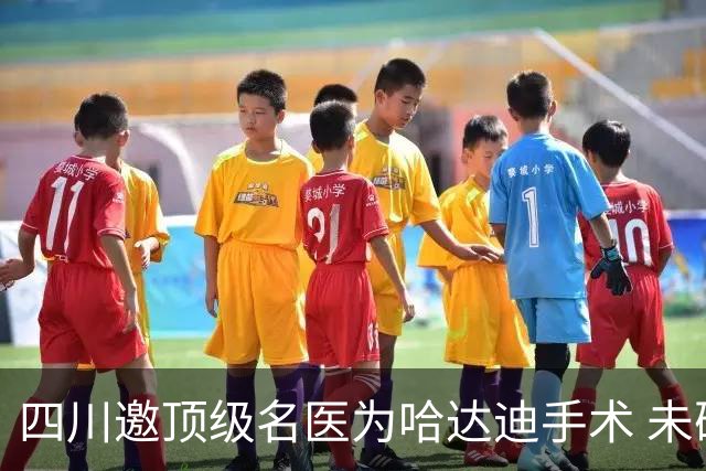 四川邀顶级名医为哈达迪手术 未确定是否退役